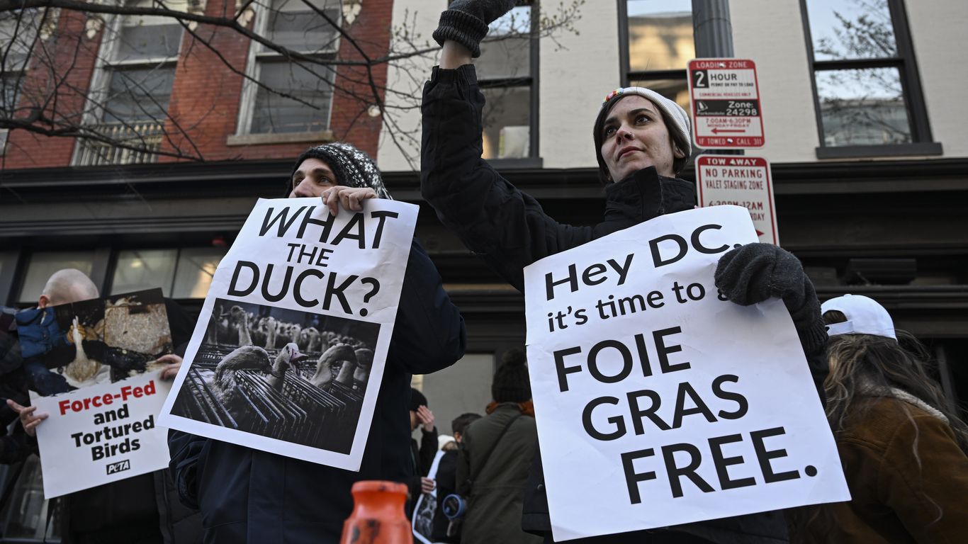 D.C.'s foie gras fight heats up as voting nears