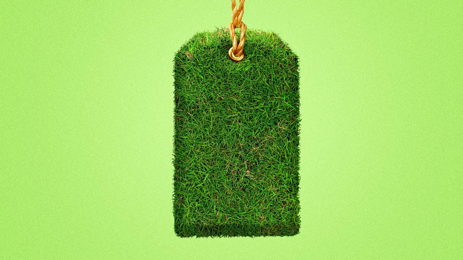 an illustration of a price tag made out of grass 