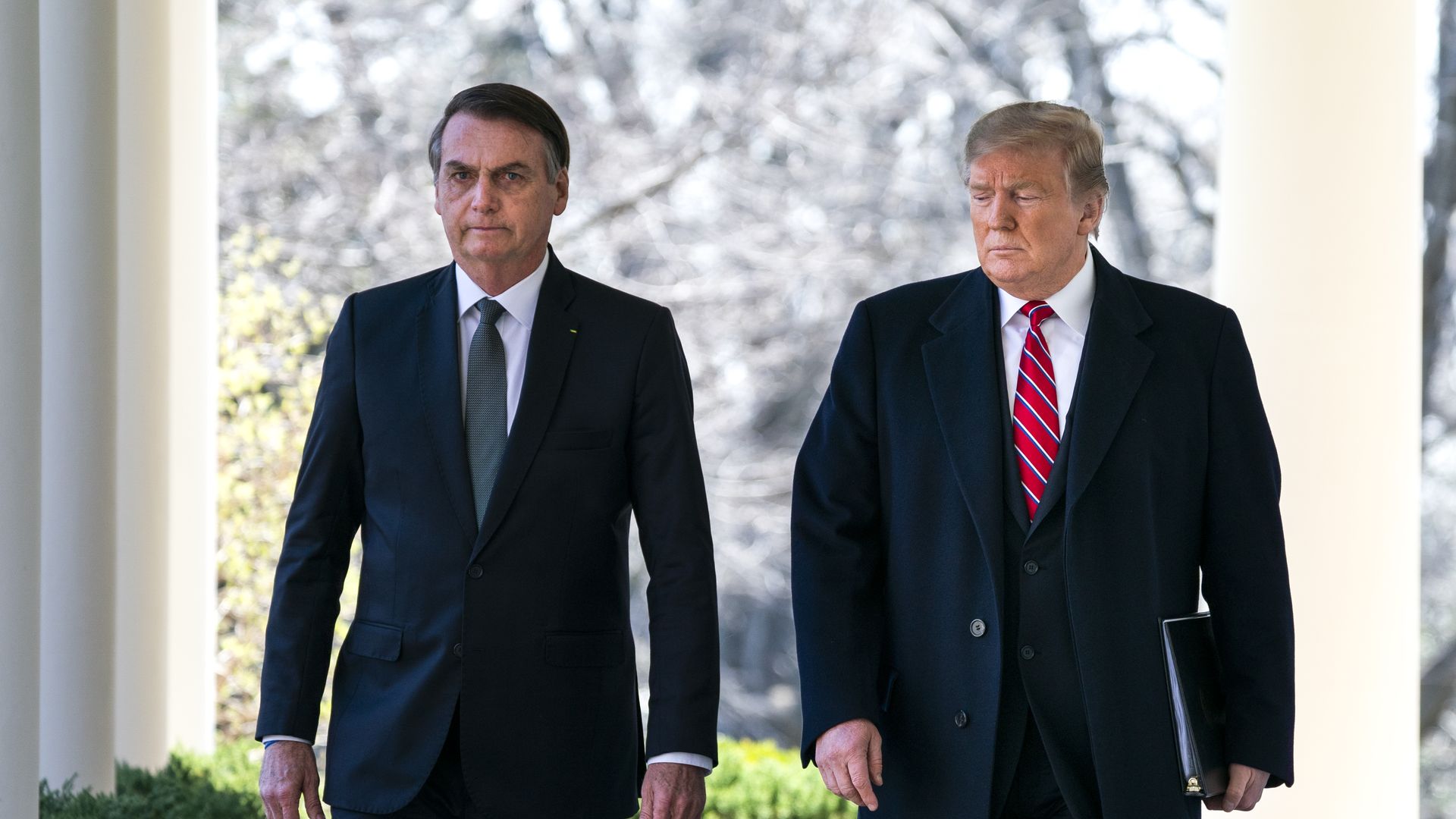 Bolsonaro and Trump