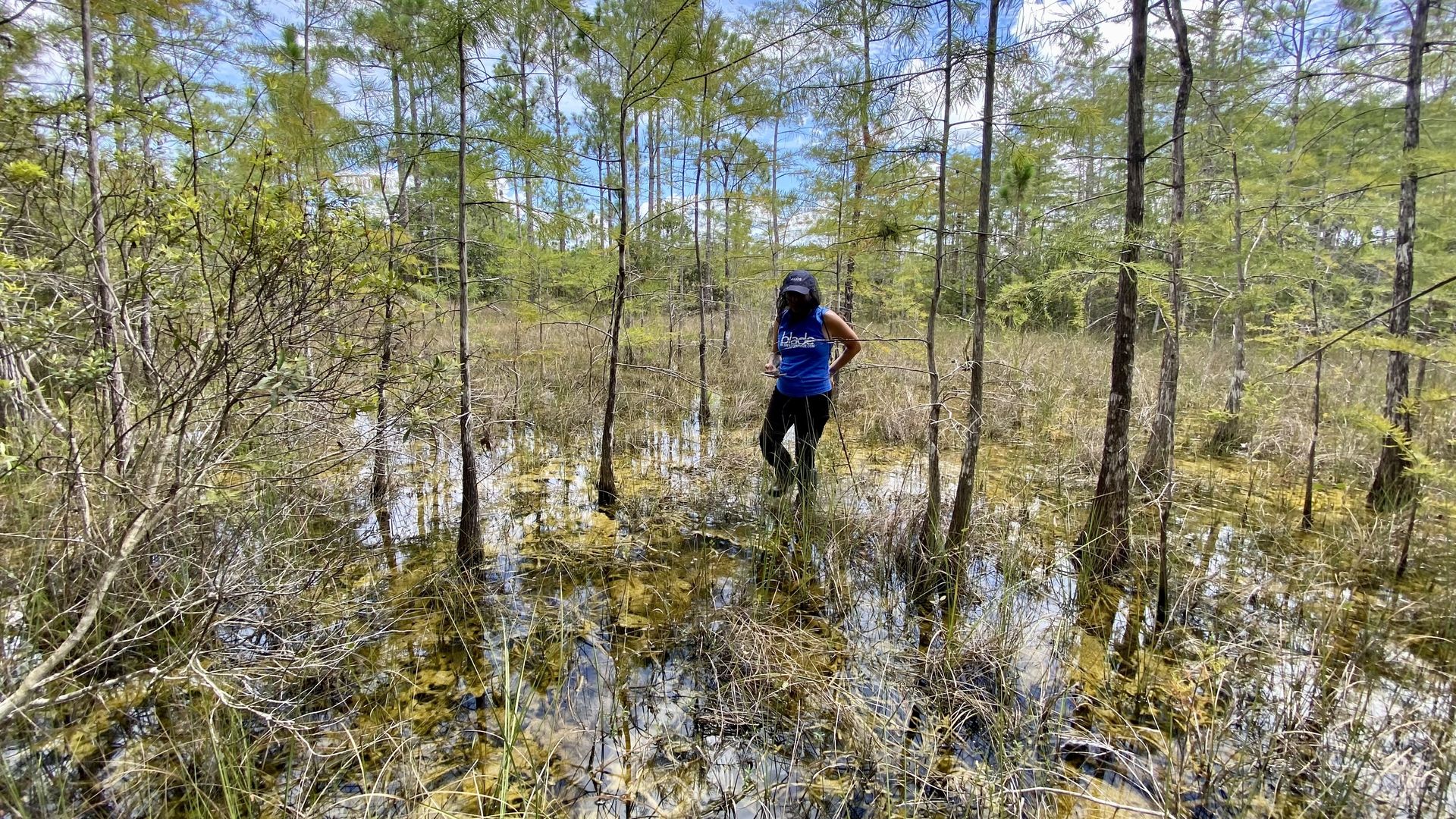 Selene looks for snakes