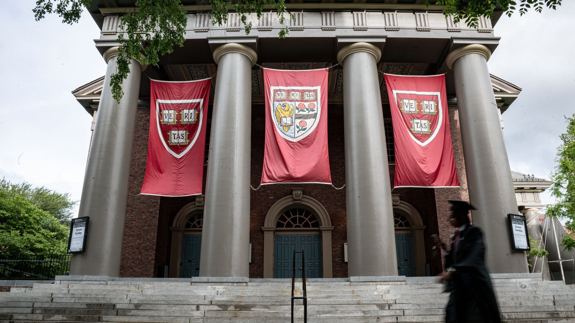 Red flags hang on Harvard's campus as a graduate walks by.