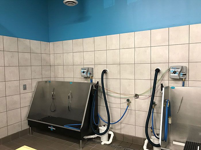 Pet supplies plus self wash price hot sale