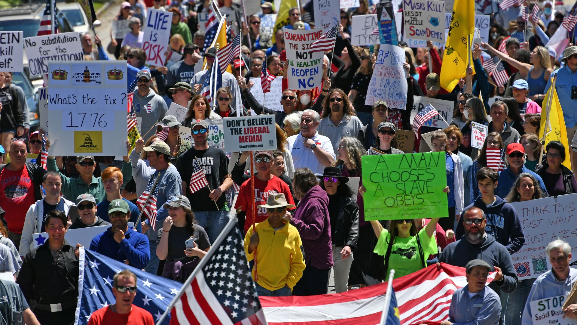In this image, a large crowd of people hold flags and signs 