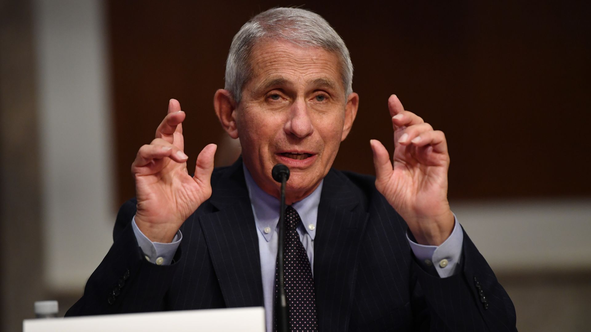 Dr. Anthony Fauci, director of the National Institute for Allergy and Infectious Diseases, testifies at a hearing in the Senate 