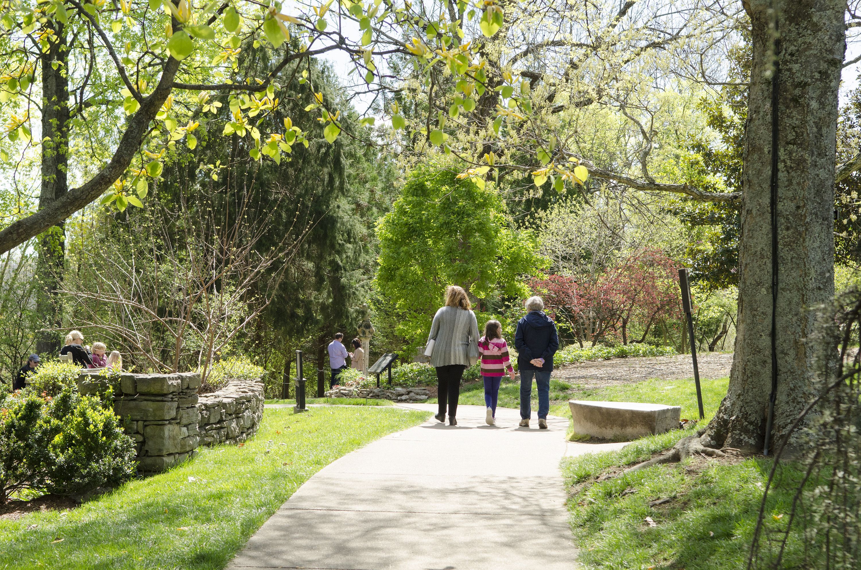New lawsuit filed against Nashville targets Cheekwood construction
