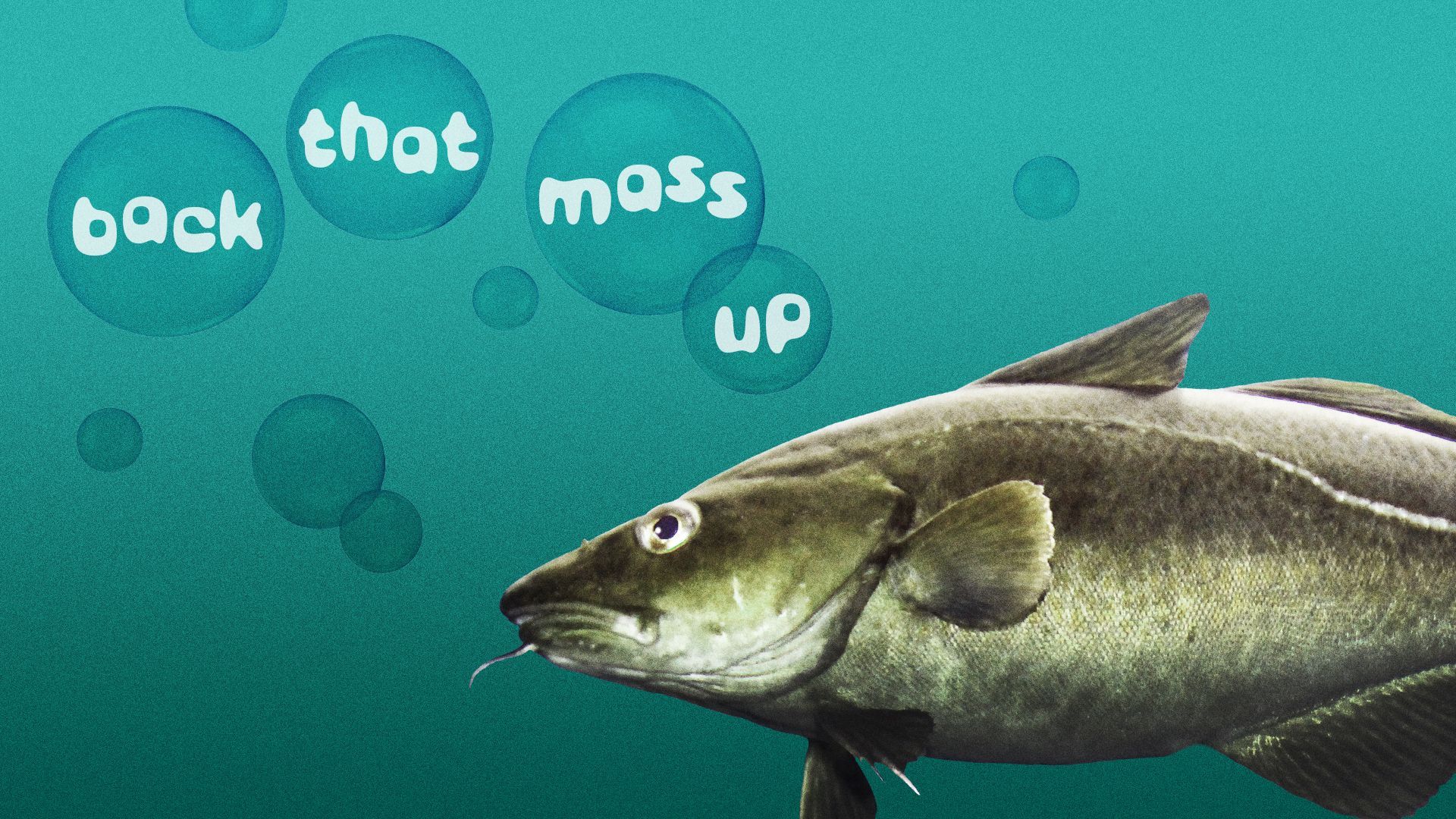 Illustration of a cod blowing bubbles that say "Back That Mass Up."