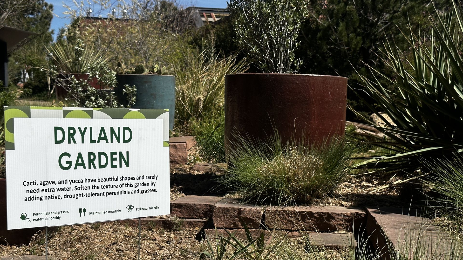 Garden scene with a white sign reading "DRYLAND GARDEN" in bold green letters; behind are tall grasses, two large pots (teal and rust), and desert plants in sunny yard.