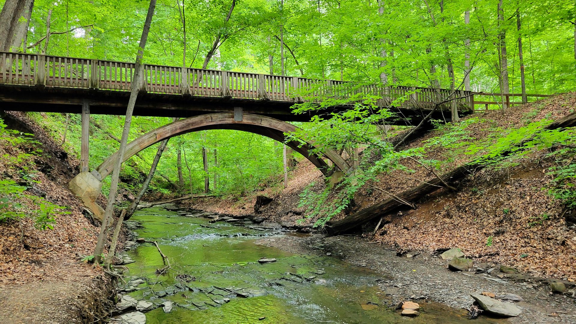 A bridge over a creek in a wooded area at Highbanks Metro Park