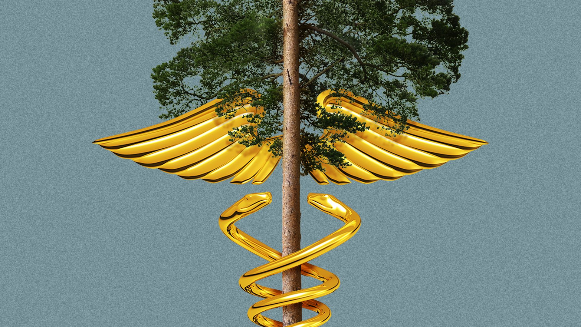 Illustration of a caduceus with the middle rod in the form of a tree