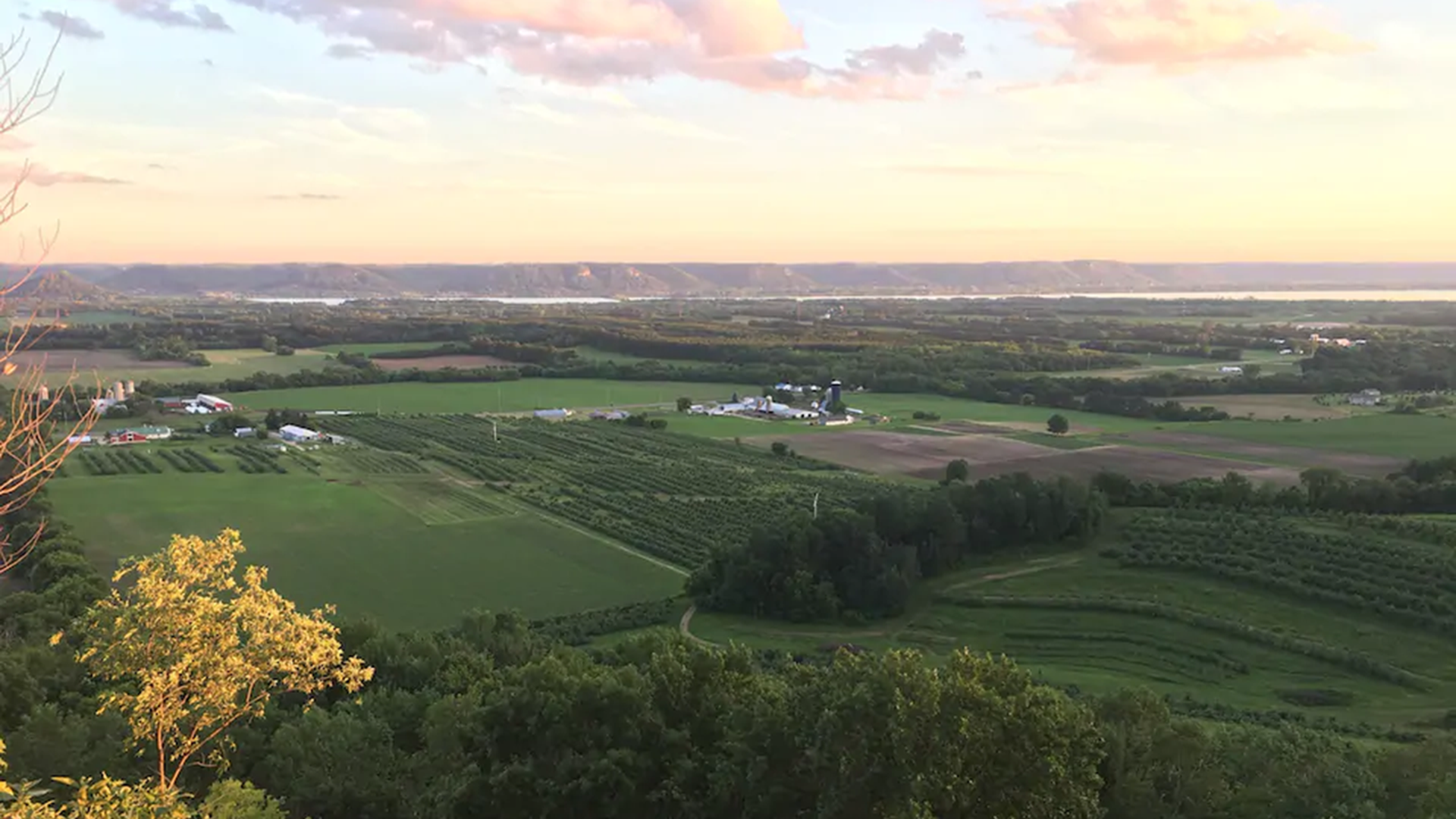 view from the orchard