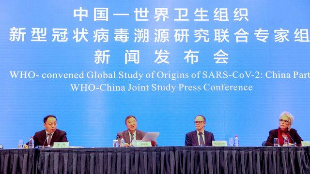 Long Awaited WHO China Report Inconclusive On Coronavirus Origins   1617028165307 