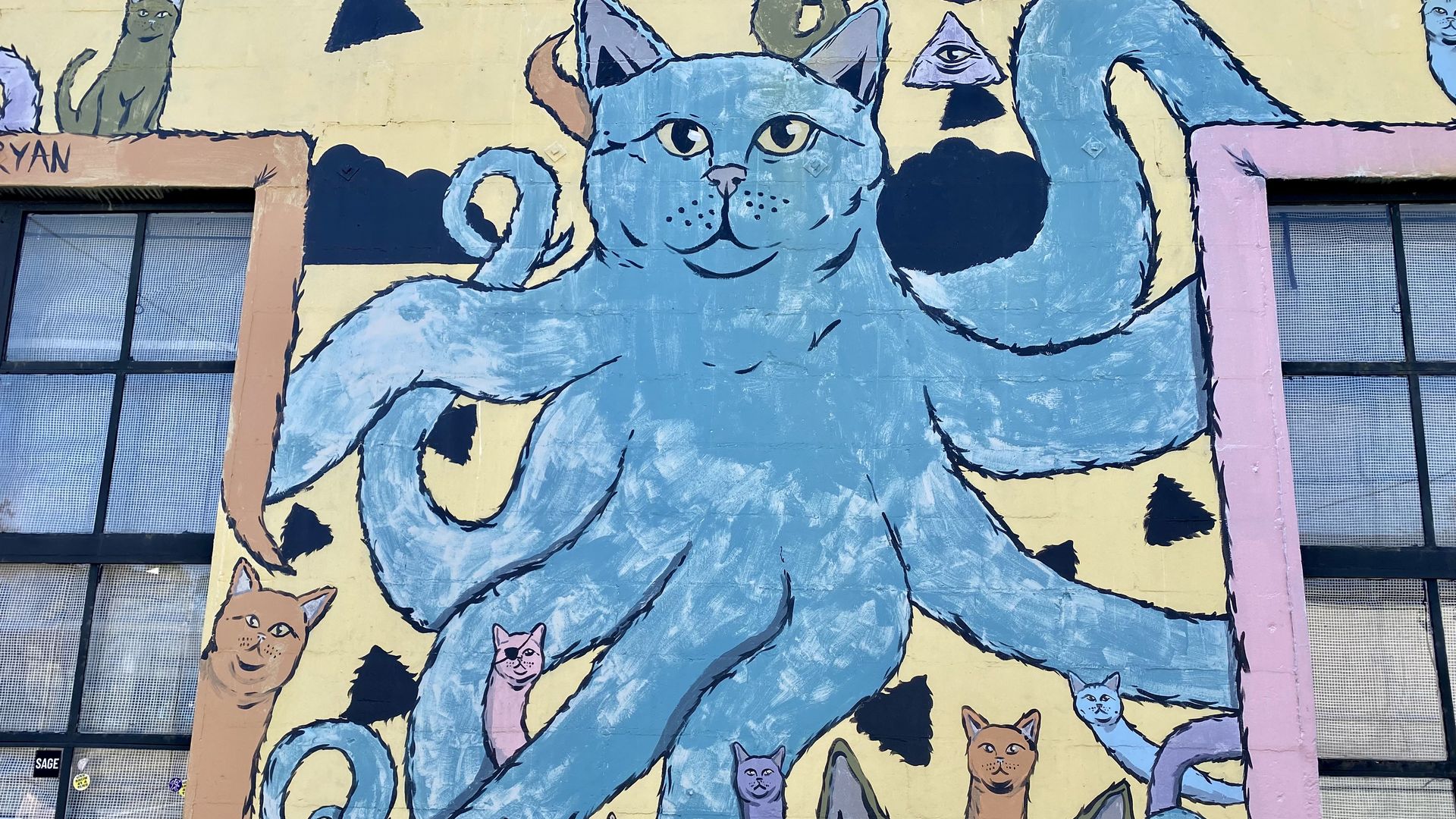 Octo-cat