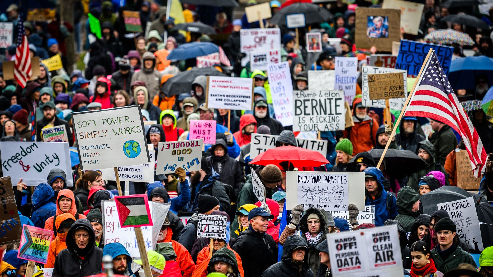 A crowd of demonstrators at a 50501 Trump protest on April 5 at the Vermont State House