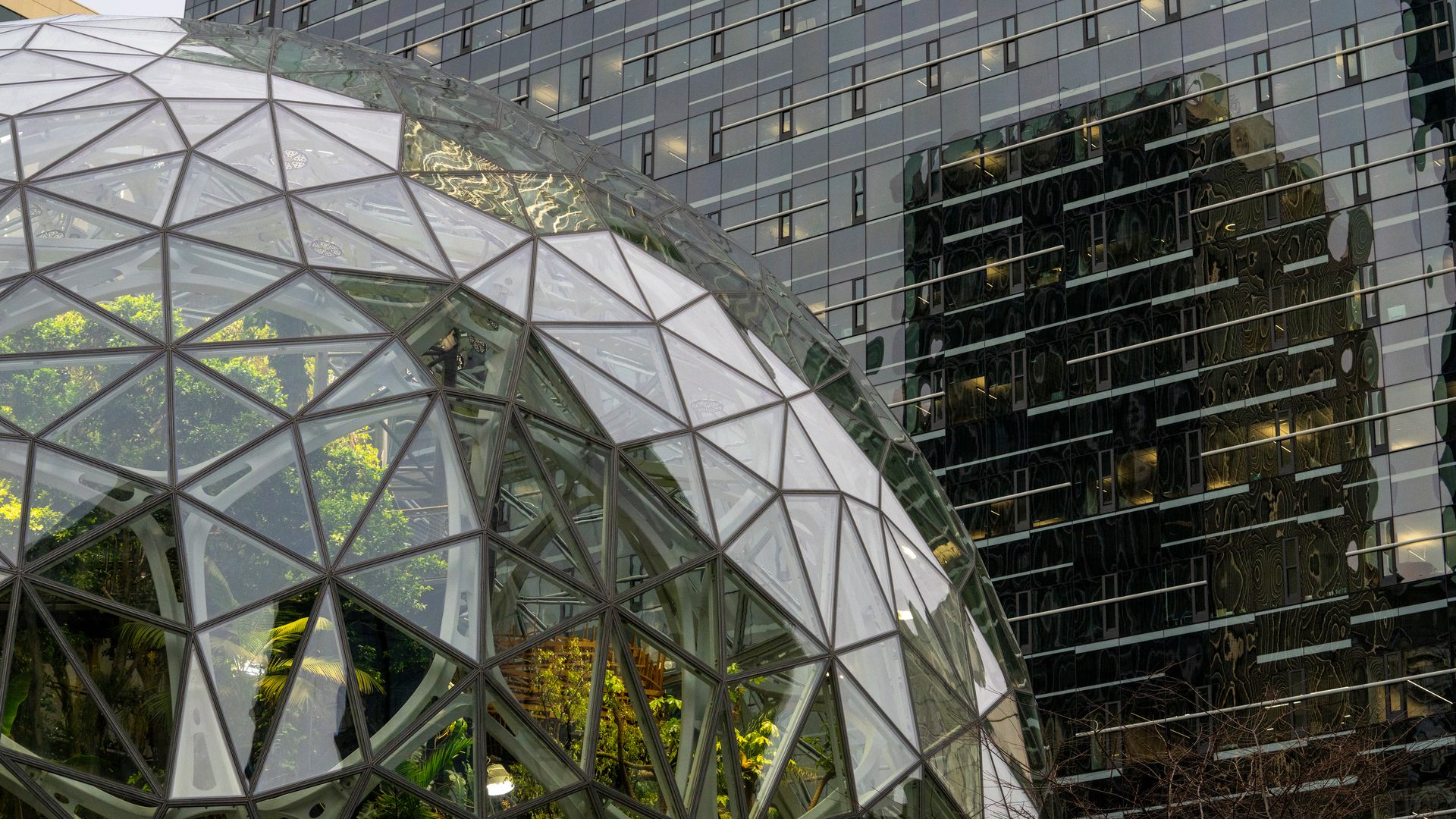 A photo of several Amazon buildings, including one of the spheres. 
