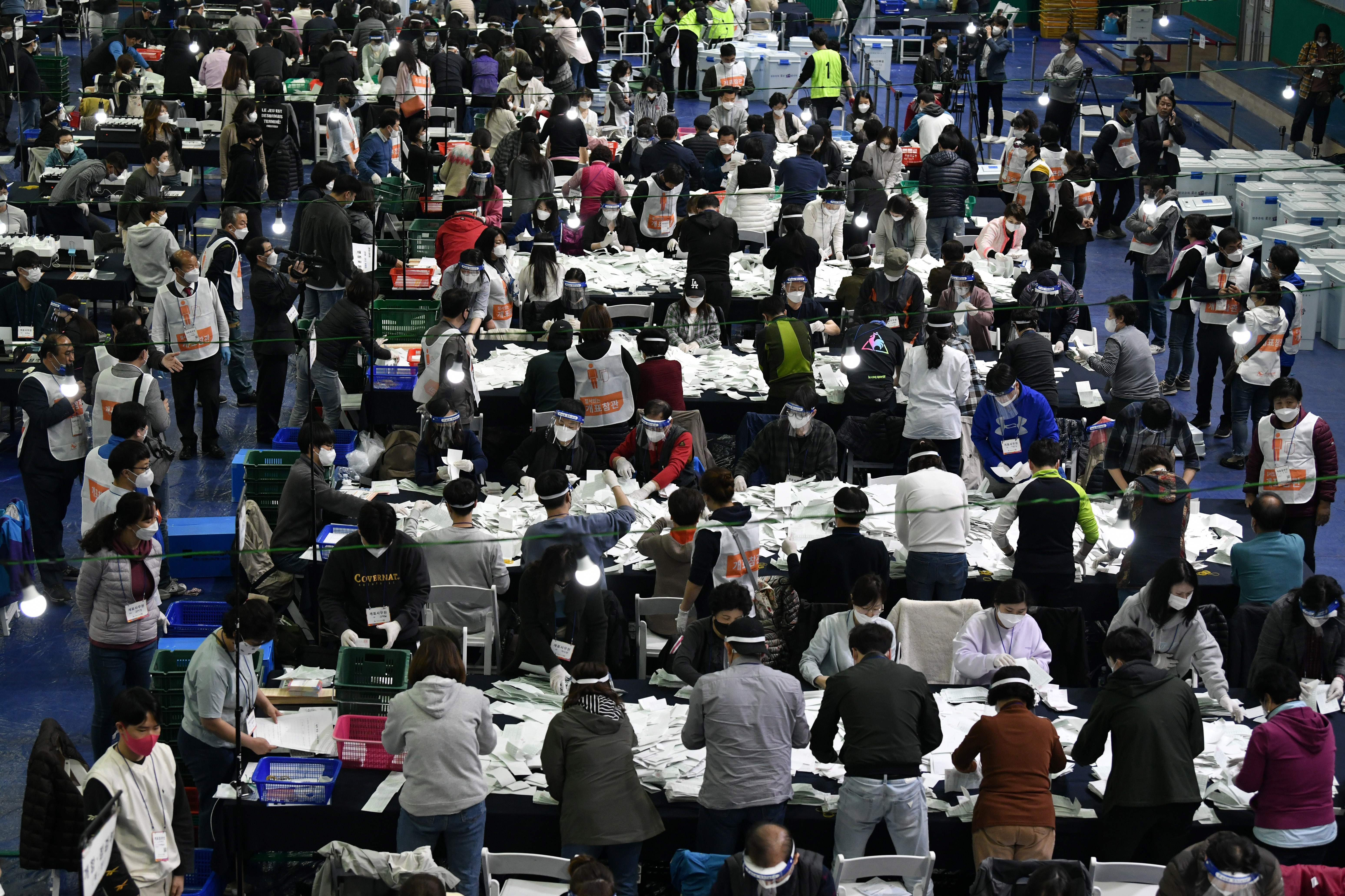 In this image, rows of people sort through papers on long tables