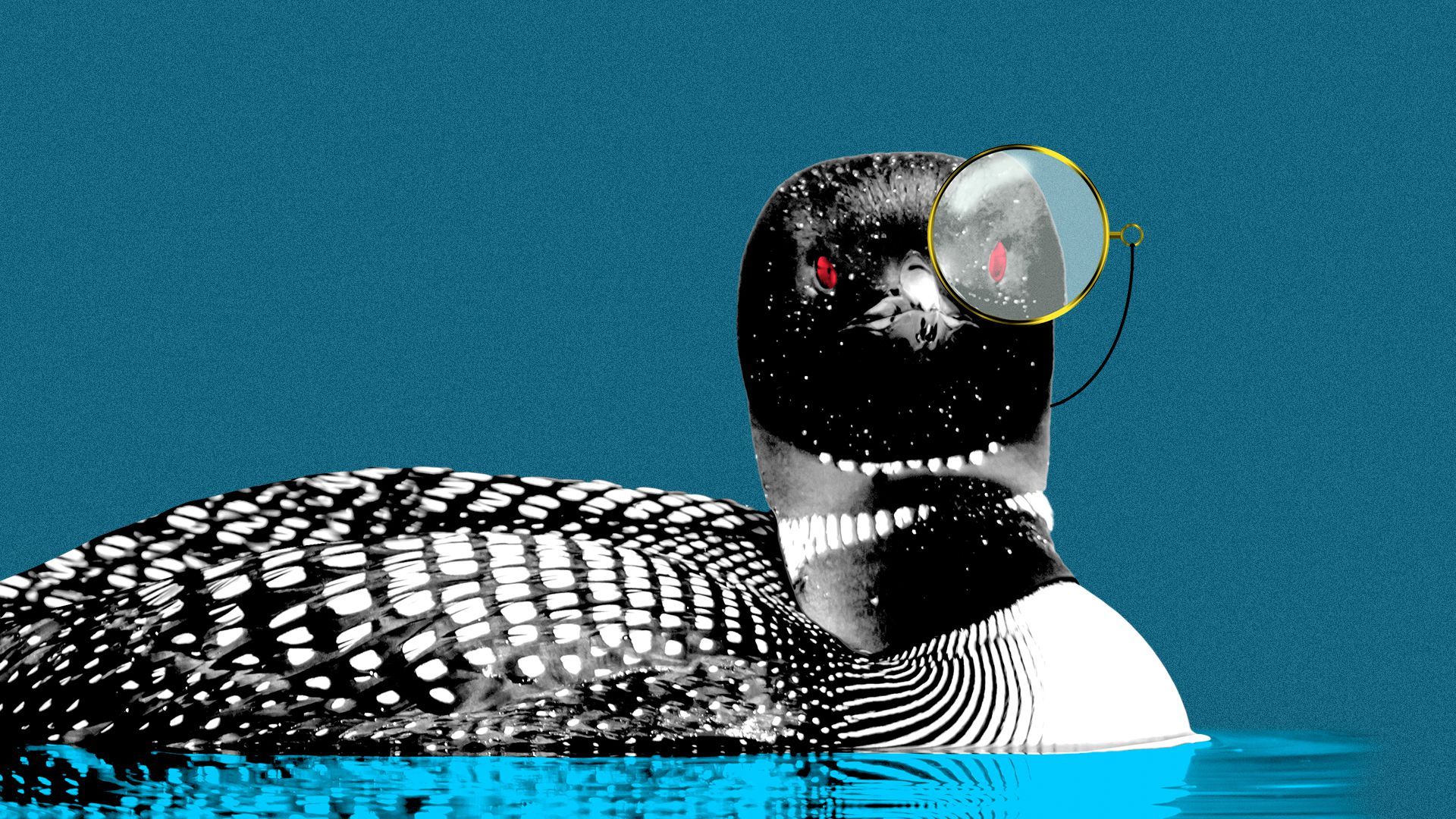 Illustration of a loon wearing a monocle.