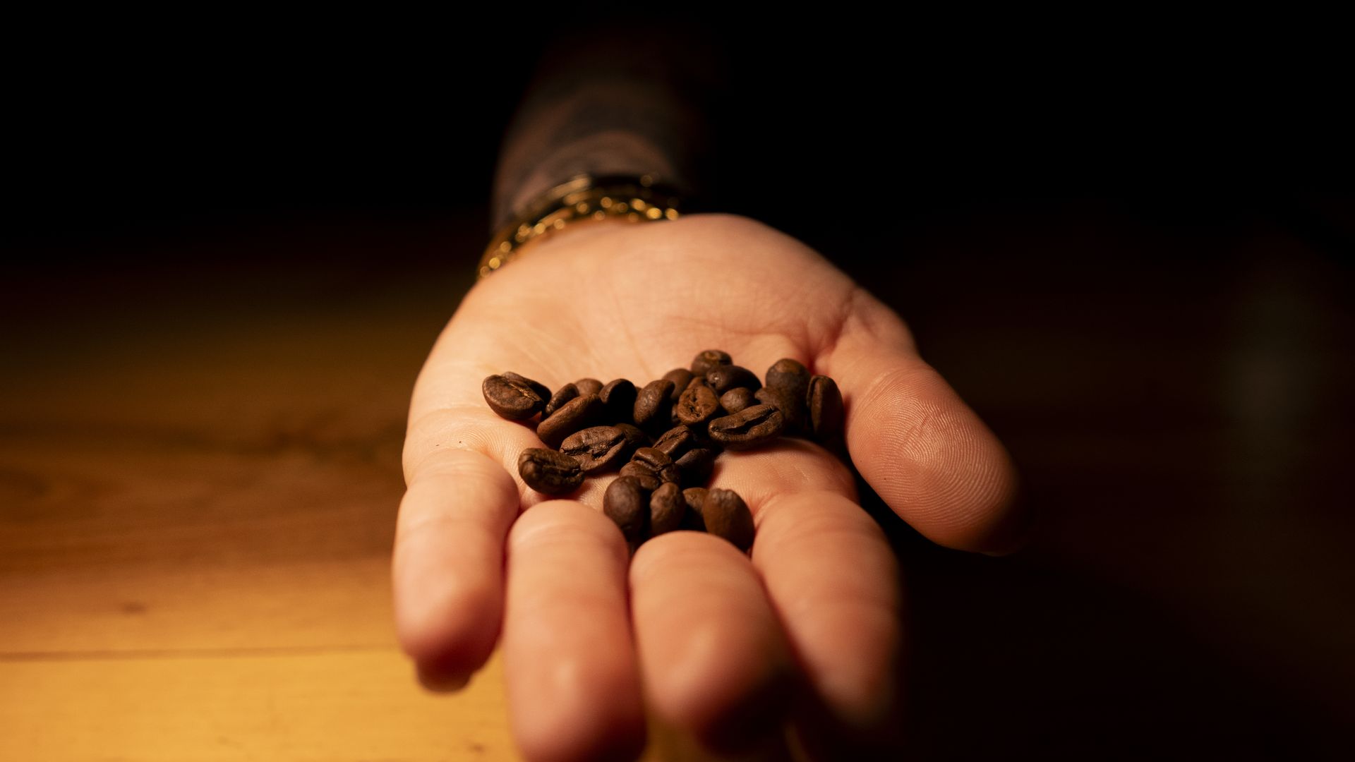 A hand emerging from a shadow and holding coffee beans. 