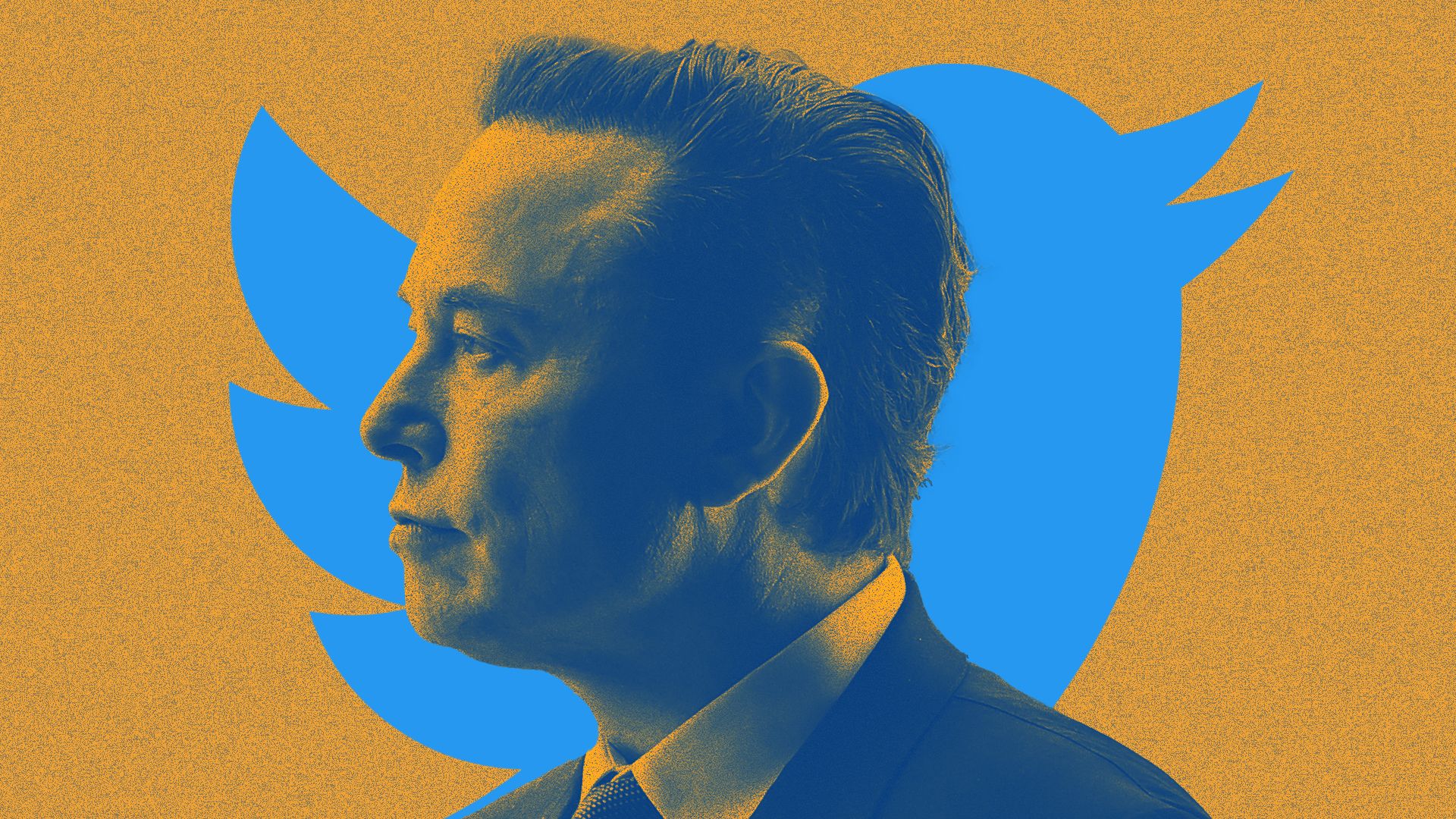 Elon Musk's face overlaps with the Twitter bird icon on an orange backdrop. 