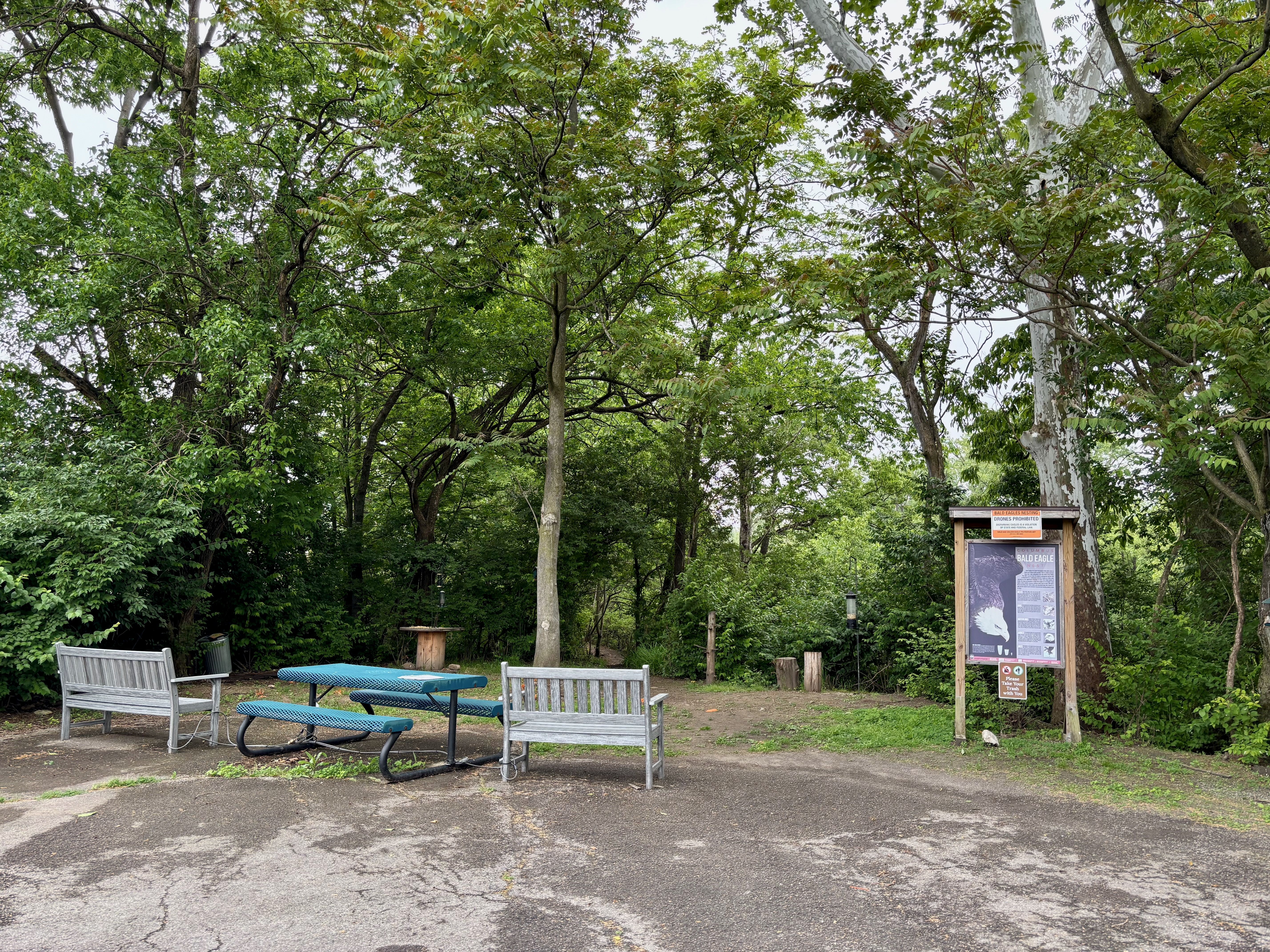The wooded entrance to a walking path along Dublin Road, with a picnic table, two benches, multiple bird feeders and an educational sign about bald eagles.