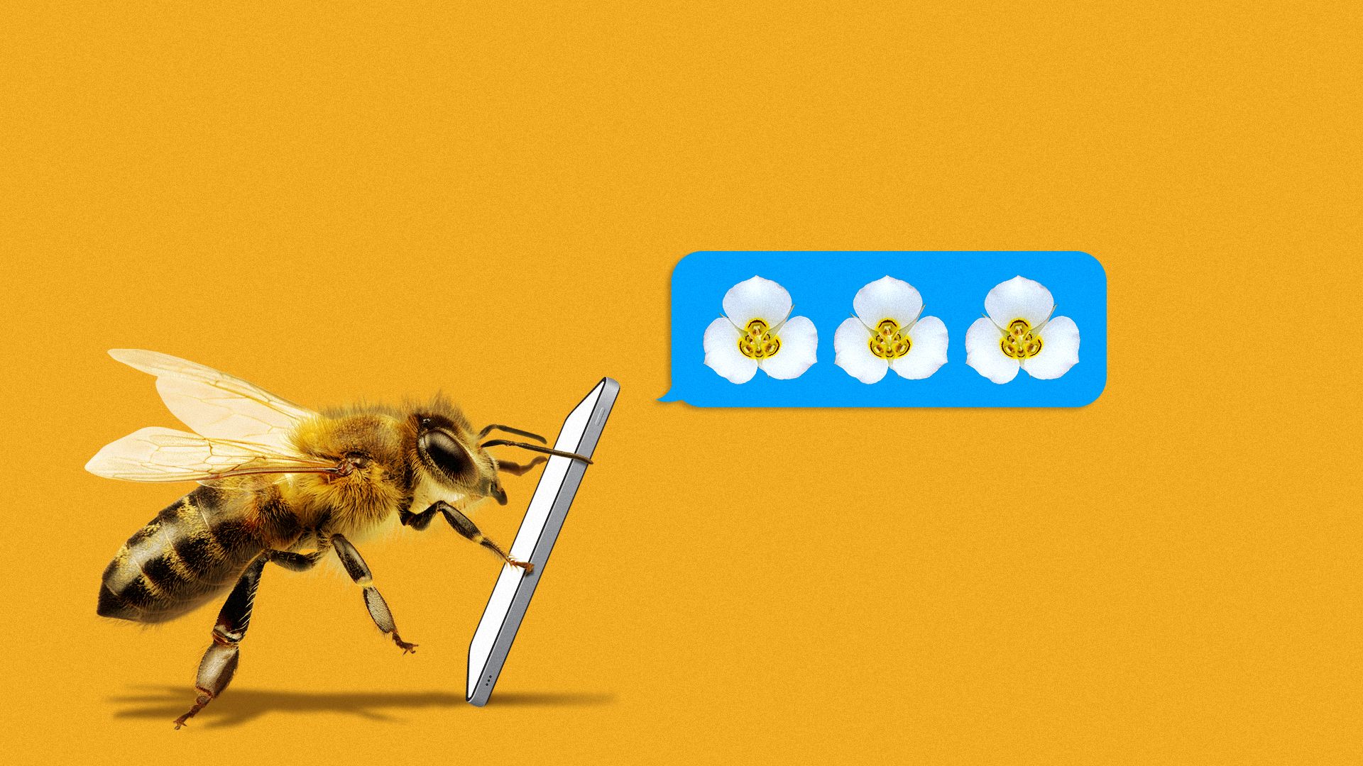 Illustration of a bee holding a cell phone next to a text notification containing sego lilies.