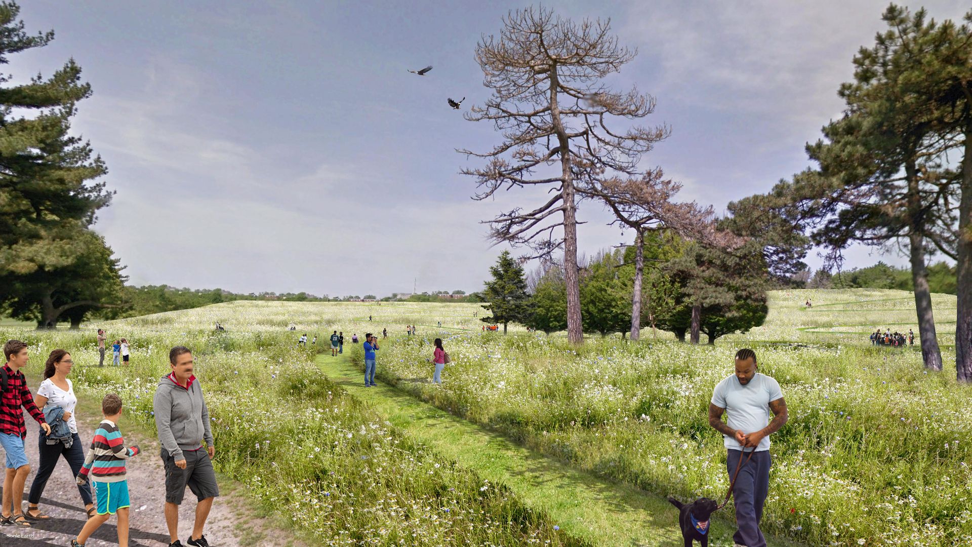 A rendering of the wetland project at FDR Park in South Philly.