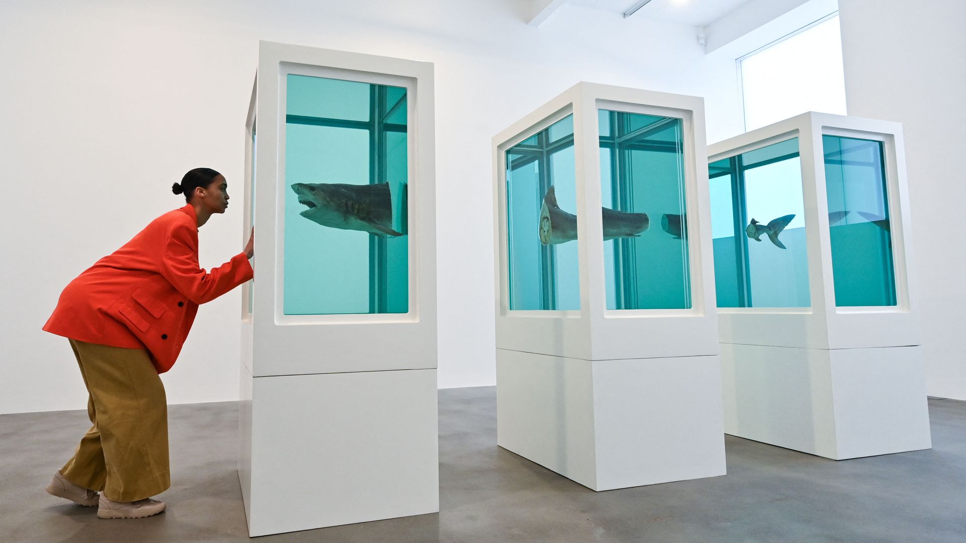 "Myth Explored, explained and exploded" by Damien Hirst