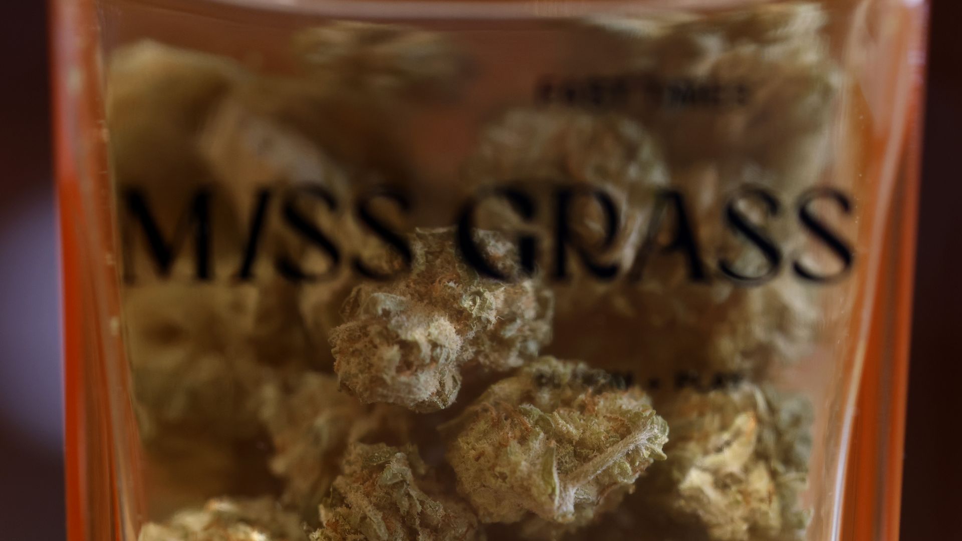 Close-up of dried cannabis buds inside a transparent container labeled "MASS GRASS" with blurred text in the background, showing green and orange hues.