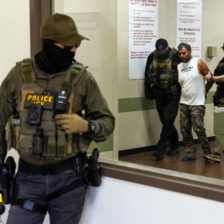 ICE plans to put electric-shock gloves on officers' hands