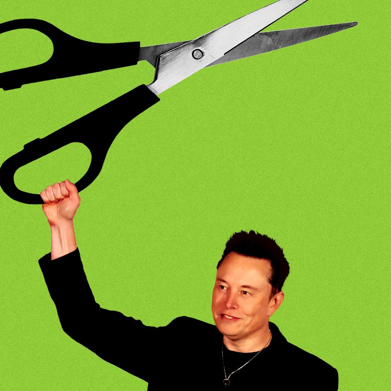 Musk & Milei: How an international bromance could shape Trump-era spending  cuts