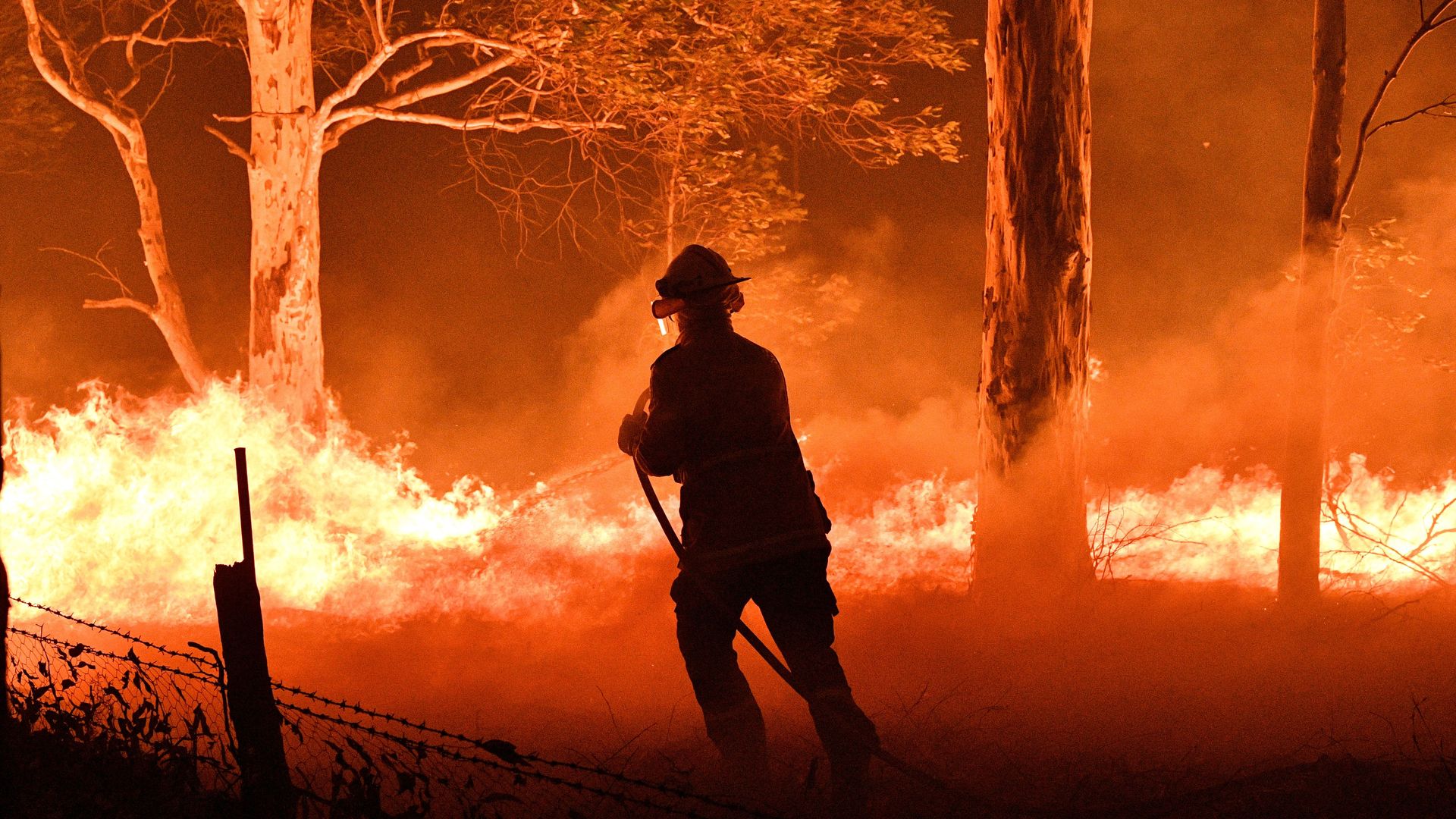 A firefighter hosing down trees and flying embers in an effort to secure nearby houses from bushfires near the town of Nowra in the Australian state of New South Wales.