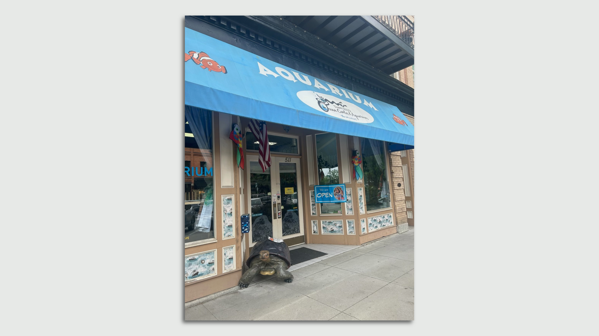 Aquarium & Shark Lab by Team ECCO's storefront