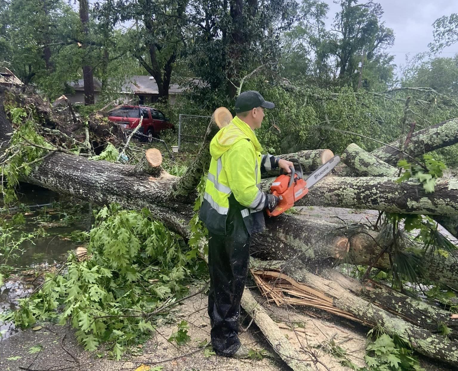 Photo shows a man using a chainsaw to cut a fallen tree.