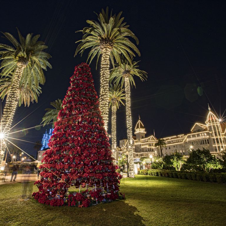 Dec 9  SD Zoo 'Jungle Bells' Holiday Festivities 2023: San Diego