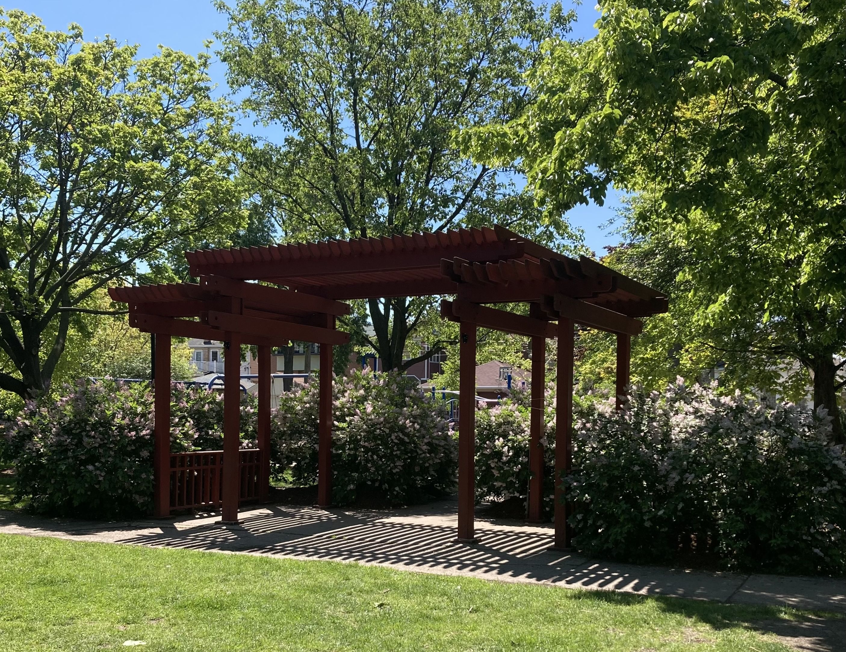Sunlit garden with a red wooden pergola beneath lush green trees, pink flowering shrubs along the hedge, and distant houses under a bright blue sky.