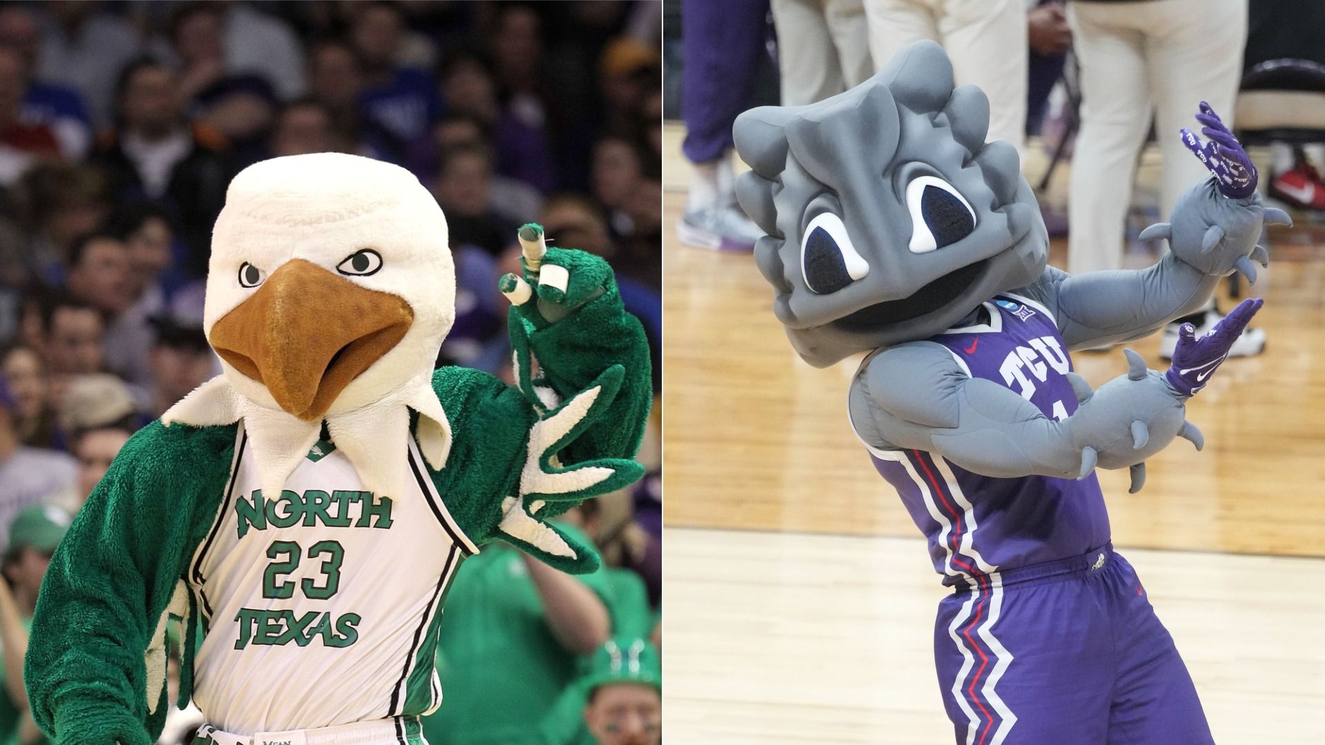 Side-by-side images of two mascots: left, a green and white eagle in a North Texas 23 jersey; right, a gray horned frog in a purple TCU basketball uniform on a court.