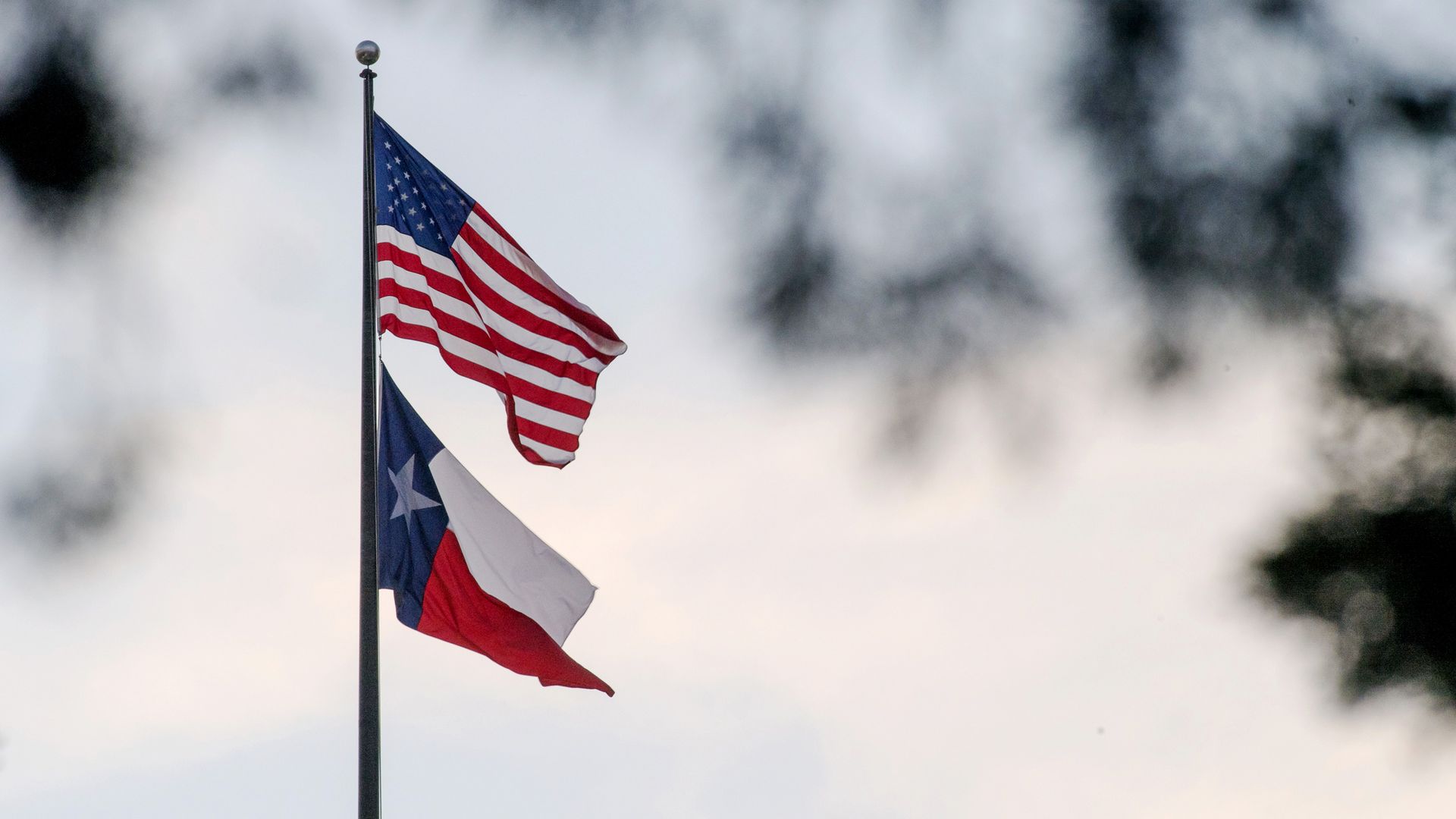 American and Texas state flag