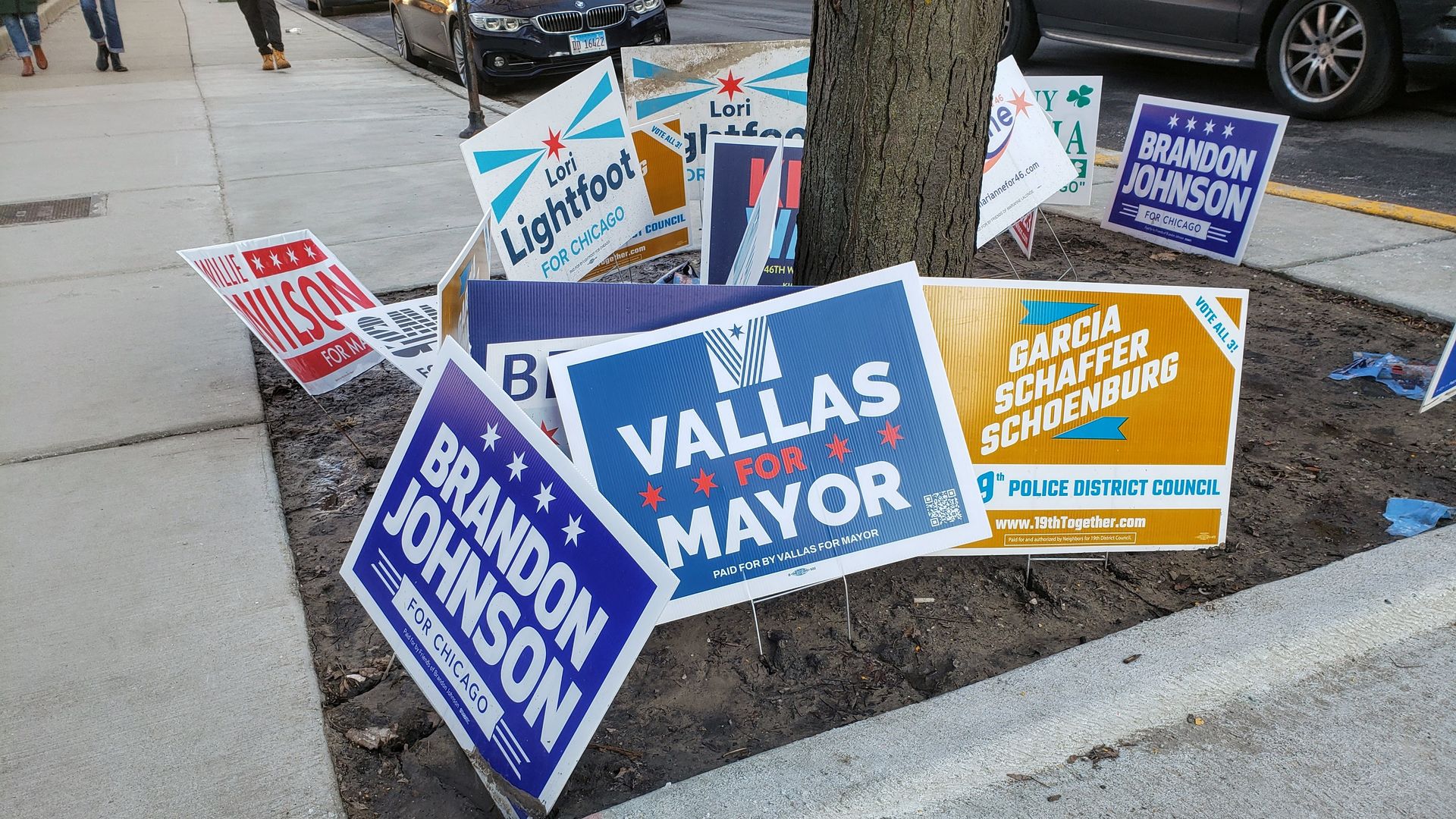 Photo of campaign signs on a sidewalk. 