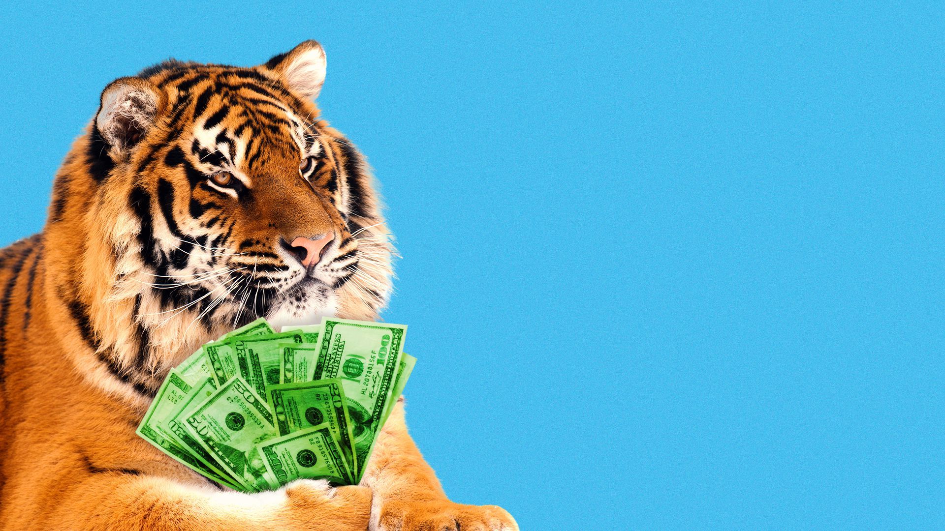 Illustration of a tiger holding a fan of cash money in its paw.