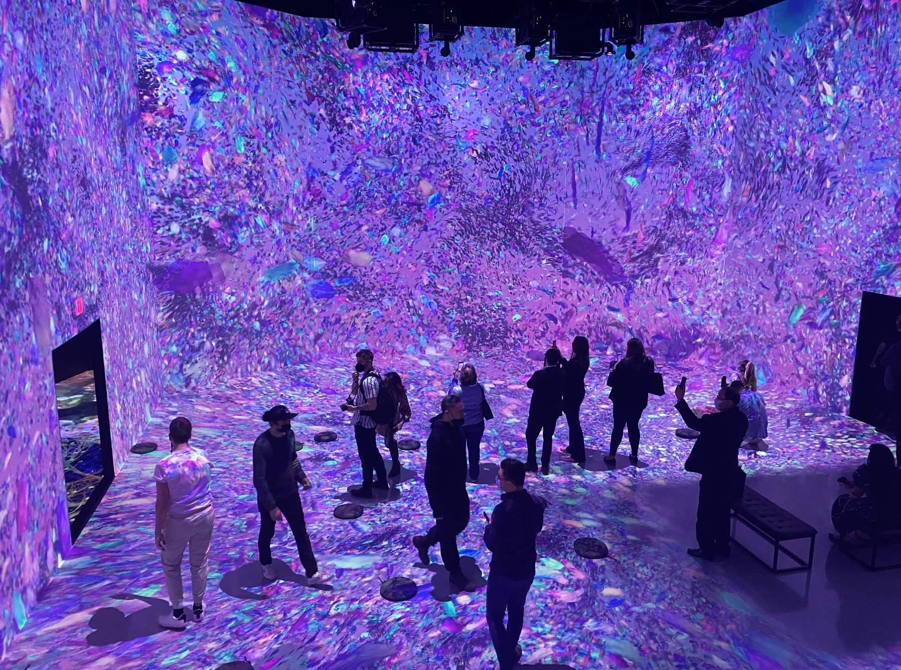 A group of people look at immersive cherry blossom art.