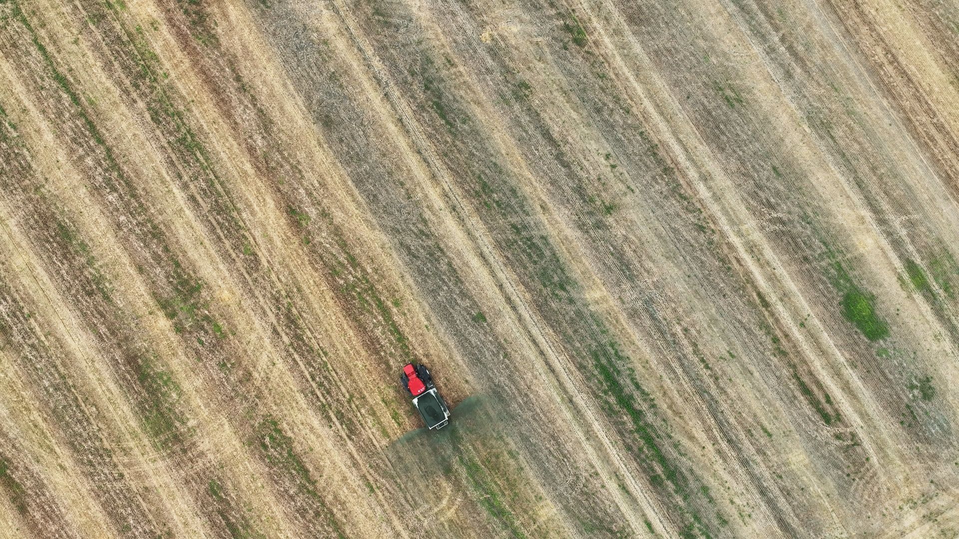 A red tractor, viewed from above, spreads basalt rock across a field of row crops.