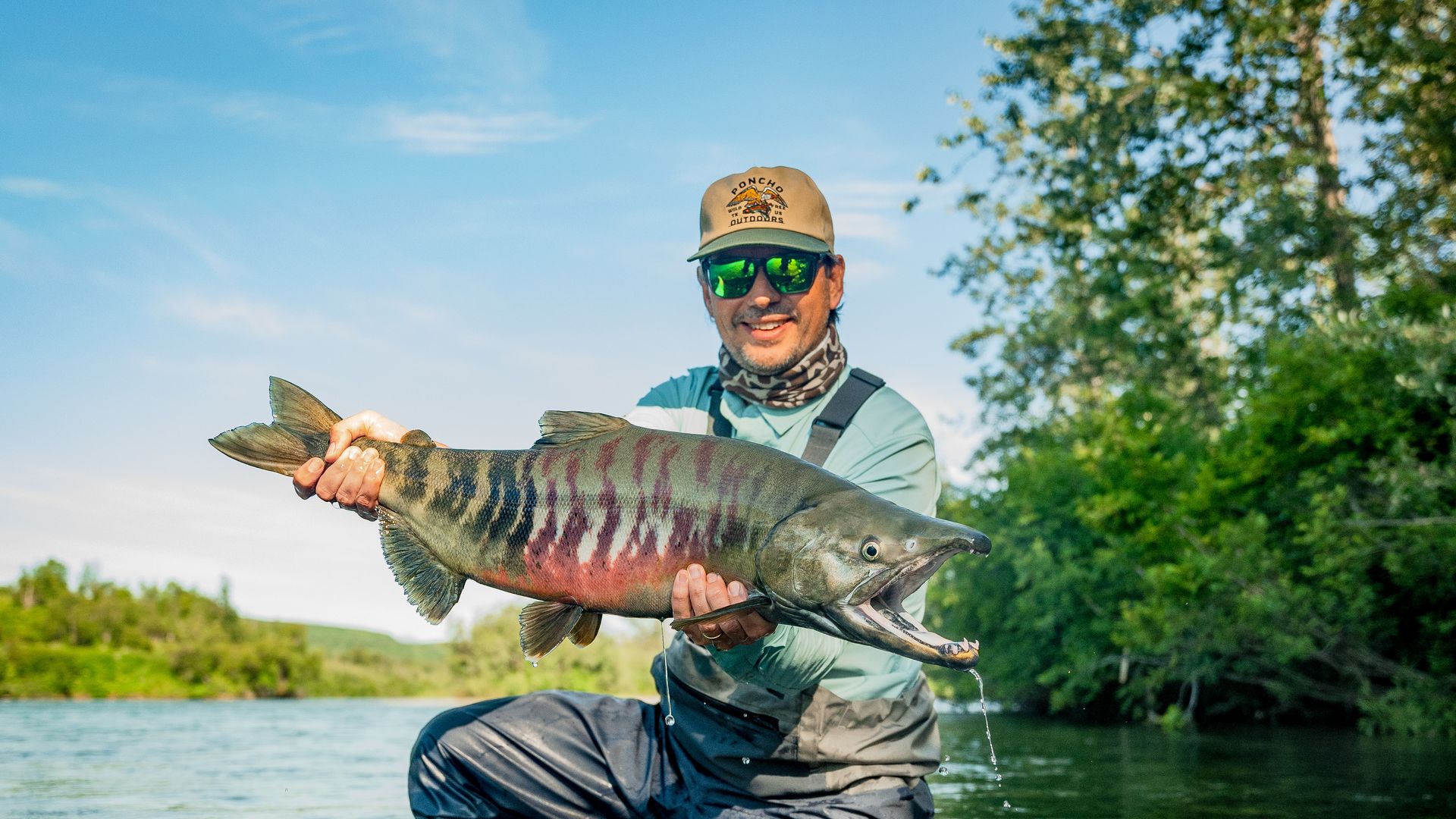Man wearing a green cap and sunglasses kneeling in a river, holding a large fish with stripes and an open mouth, with green trees and blue sky in the background.