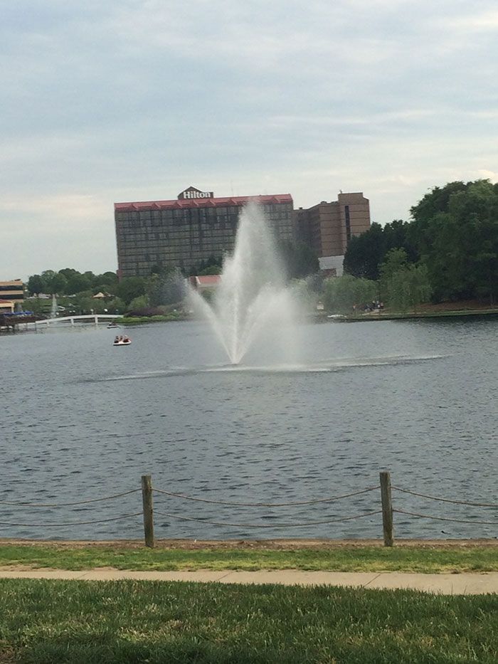 university-city-paddle-boats