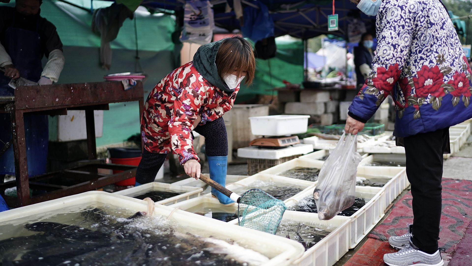 Photo of Wuhan market in China in December