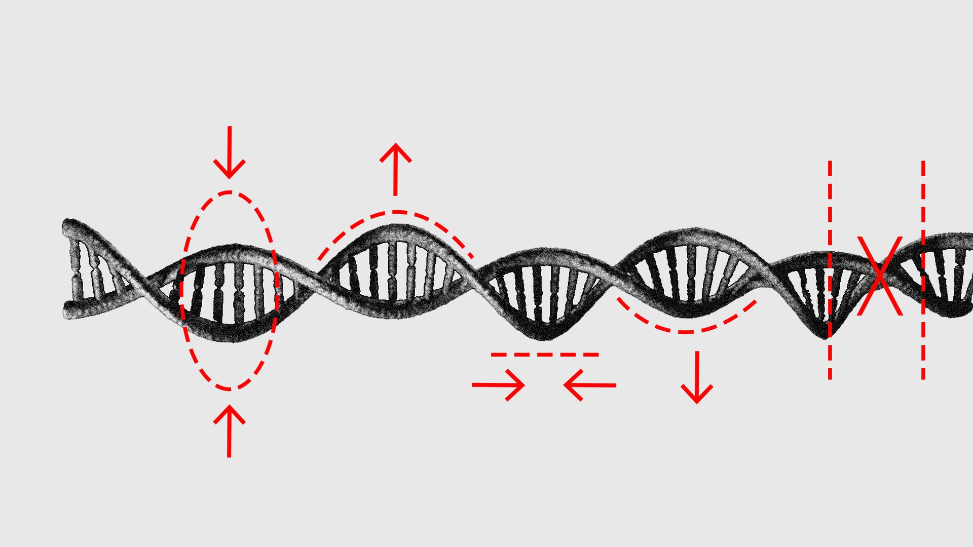An illustration of DNA with edit marks.