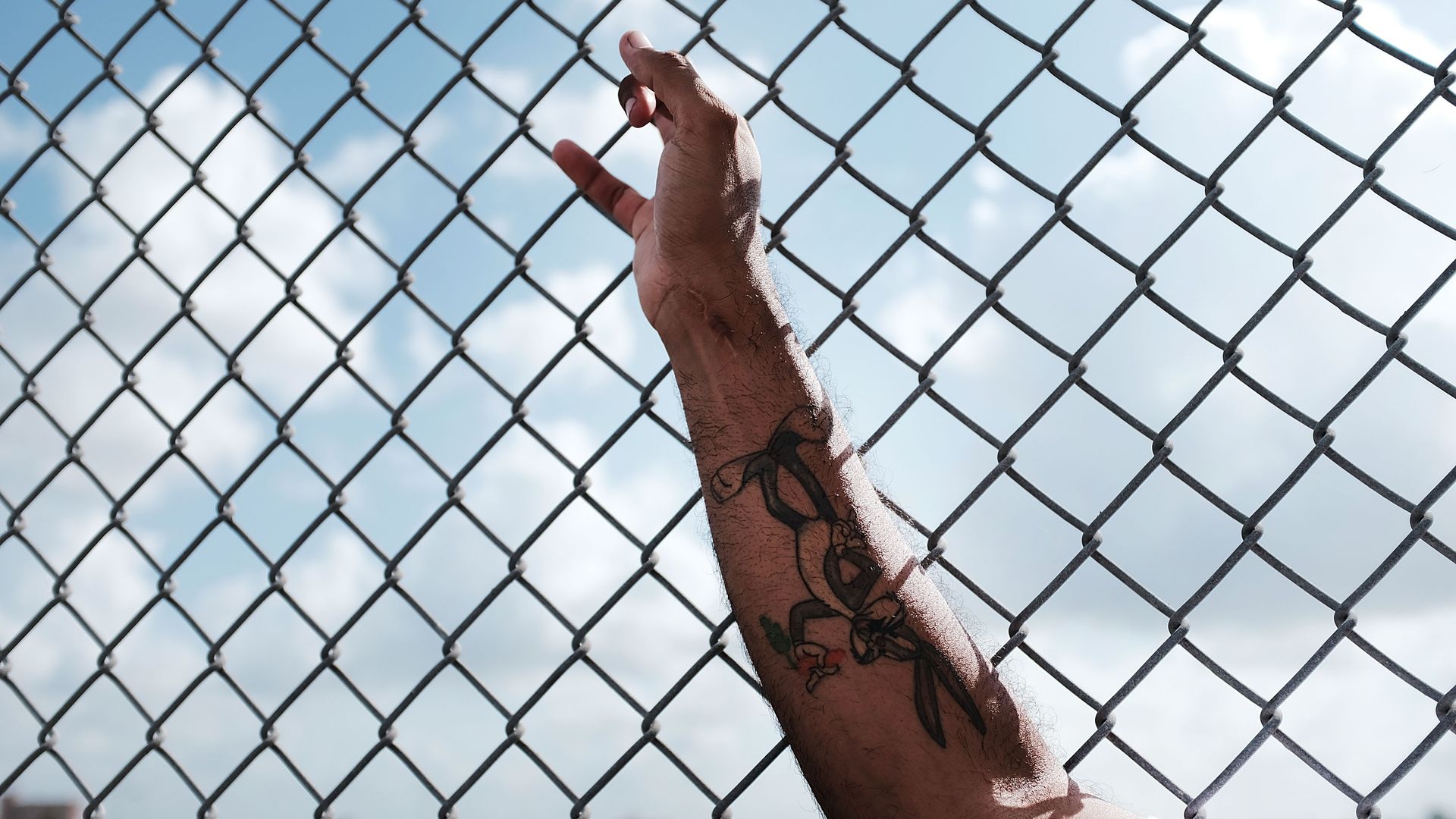 A man's arm holds a chain-link fence.