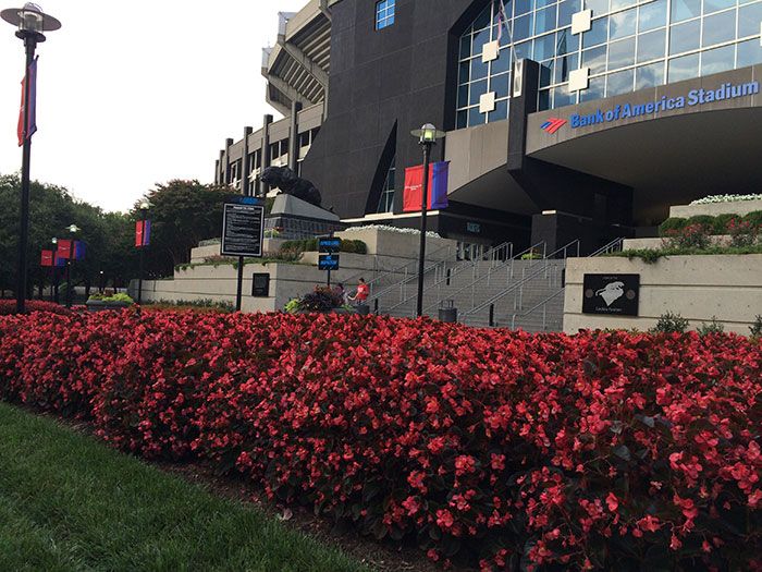 Bank of America stadium entrance