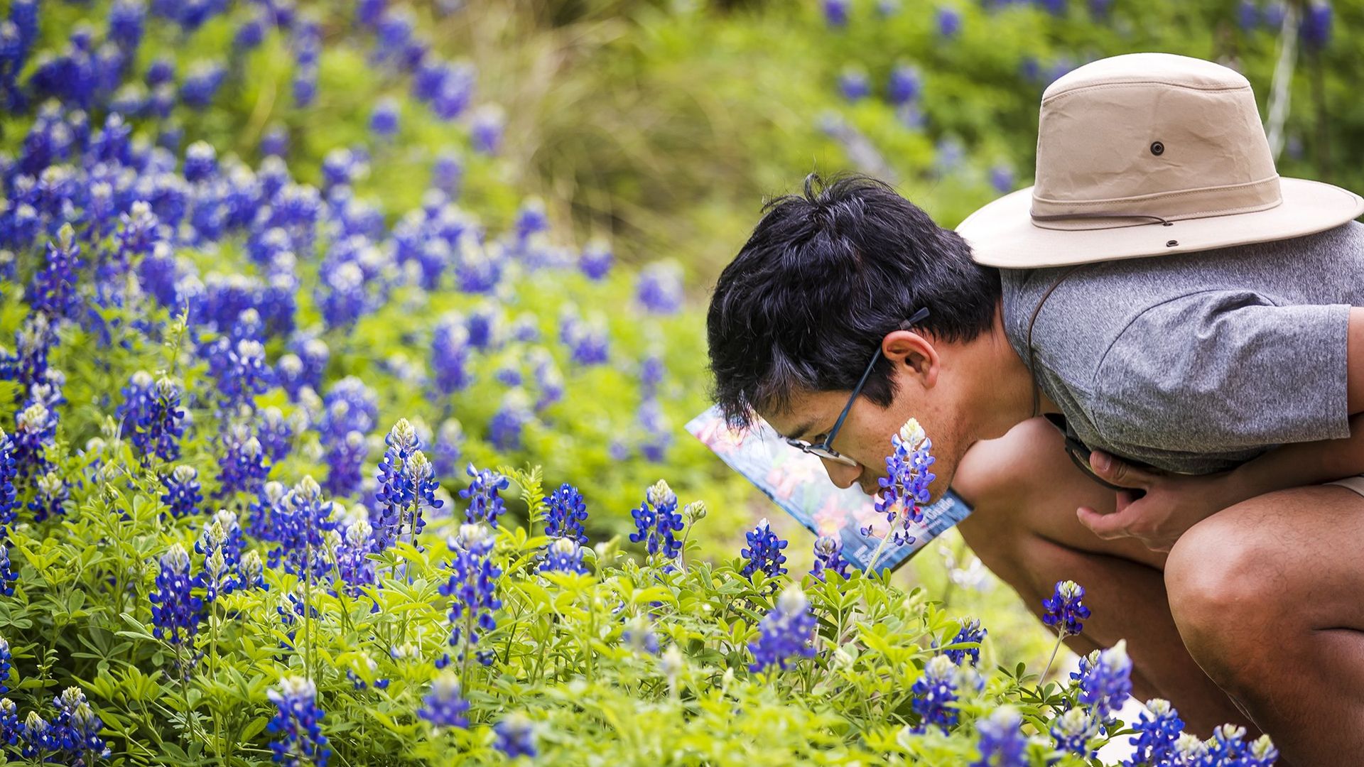 Two people in a sunlit field of purple lupine; one crouches among the blossoms while a beige-hatted person rests on their back, surrounded by lush green foliage.