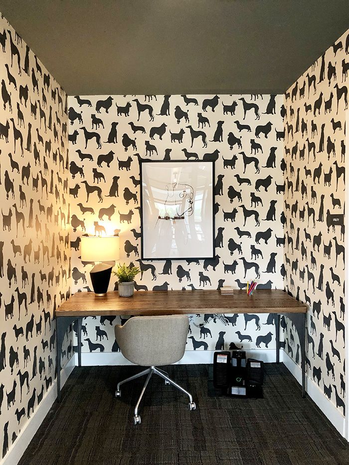 NOVEL Loso Station dog friendly coworking