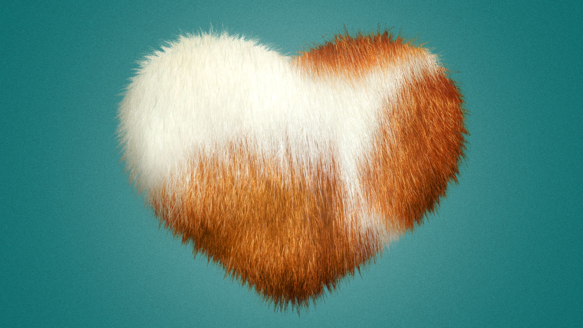Illustration of a heart textured with orange and white pet fur. 