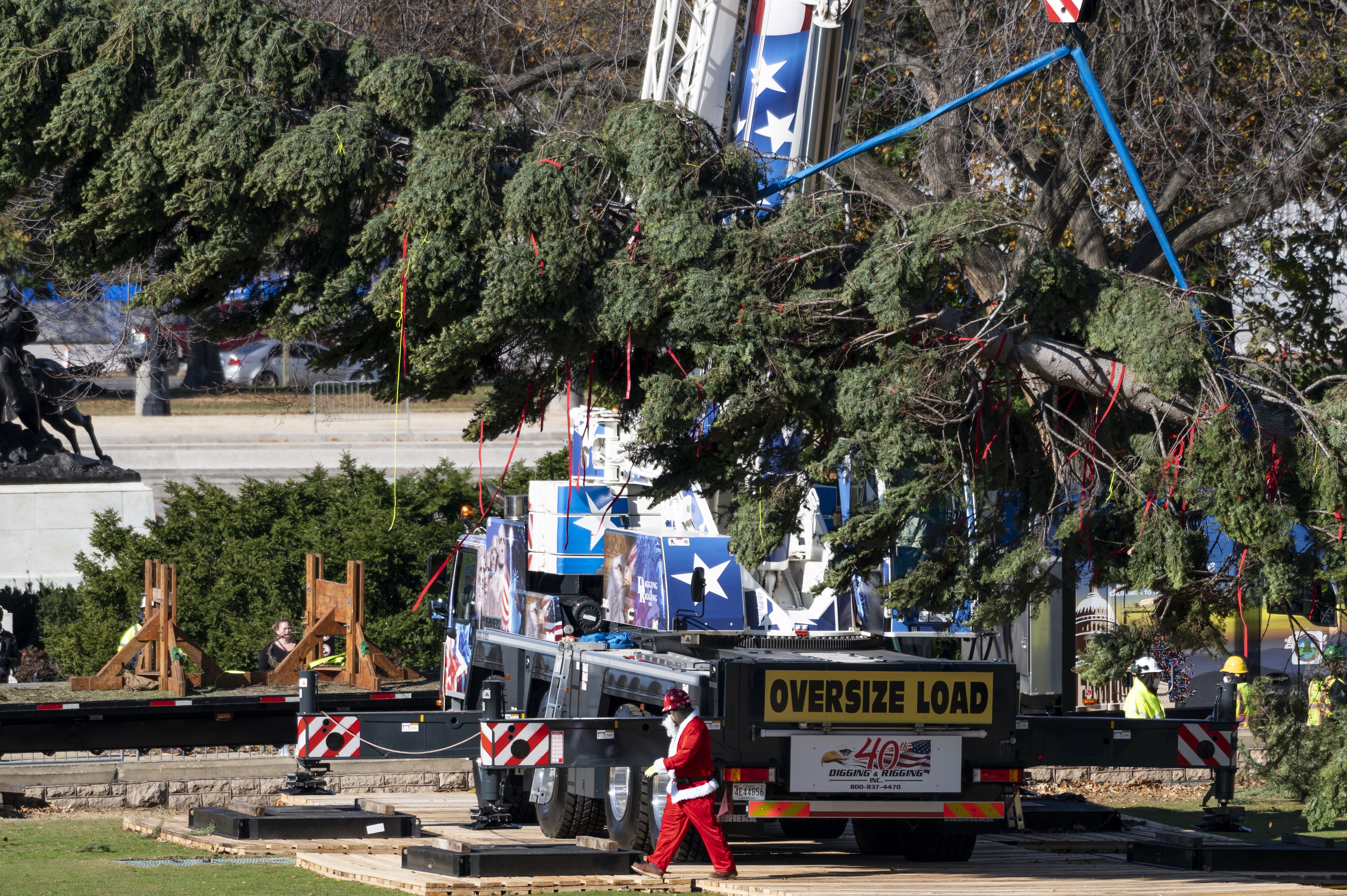 Το χριστουγεννιάτικο δέντρο του Καπιτωλίου των ΗΠΑ του 2021 υψώνεται από το φορτηγό με επίπεδη επιφάνεια στο δυτικό μέτωπο του Καπιτωλίου στις 19 Νοεμβρίου 2021.